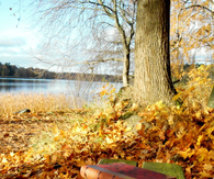 Perfect autumn day