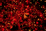 Tree of lights