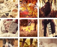 Crisp autumn