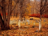 Autumn grave yard