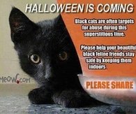 Halloween Protect  Your Furbabies