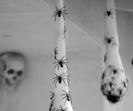 Spooky spider egg sac
