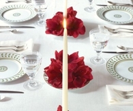 Amaryllis candle centerpiece