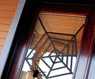 Webbed window covering