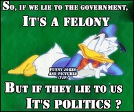 Politics felony