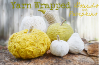 Yarn Wrapped Gourds & Pumpkins
