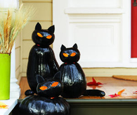 Pumpkin & Squash Black Cats