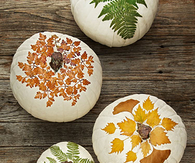 Foilaged pumpkins