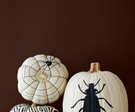 Black and white pumpkins