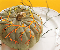 Thorny vines pumpkin