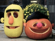 Bert & Ernie Pumpkins