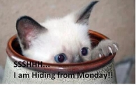 hiding from monday
