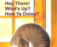 hey there