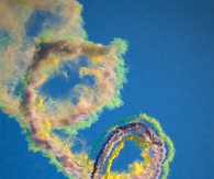 Smoke Jumper