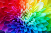 Tie Dye Flower