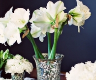 Holiday wedding decor