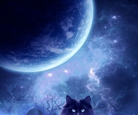 Mystic cat