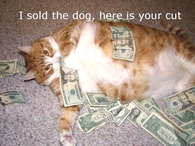 I sold the dog