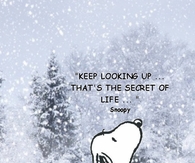 keep looking up