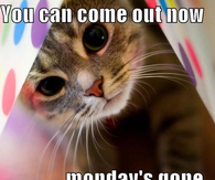 You can come out now Mondays over
