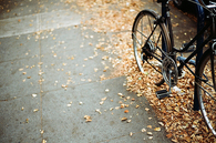 Bike in the leaves