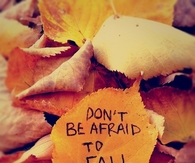 Dont be afraid to fall