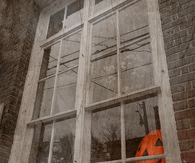 Pumpkin in the window