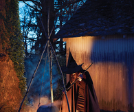 Witch at the cauldron