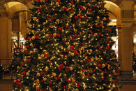 Big christmas tree
