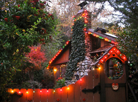 Christmas light house