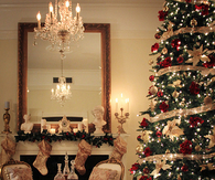 Elegant christmas decor