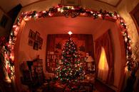 Fish eye lens of a christmas tree