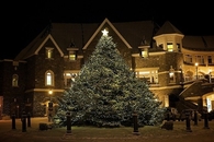 Mansion christmas tree