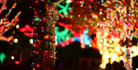 Colorful lights wrapped around the tree