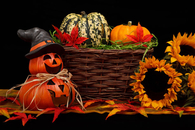Autumn Decorations