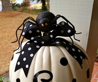 Cute No Carve Spider Bow Pumpkin