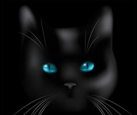 Black Cat