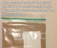 Keep cardboard in a ziplock bag
