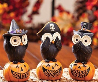 Owls