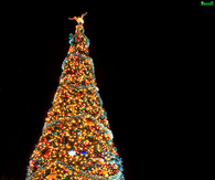 Tall decorated christmas tree