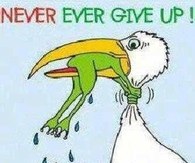 never give up