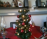 Little apartment tree