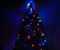 Christmas tree in the dark