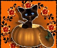Cute Black Cat Gif