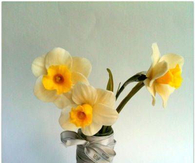 DIY Porcelein Flowers