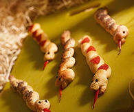 Slithering breadsticks