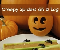 Creepy spiders on a log