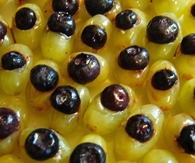 Fruity eyeballs