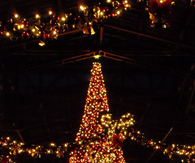 Christmas Tree at Tokyo Disneyland