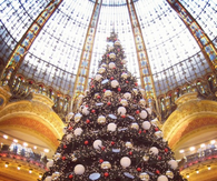 Christmas tree in Paris